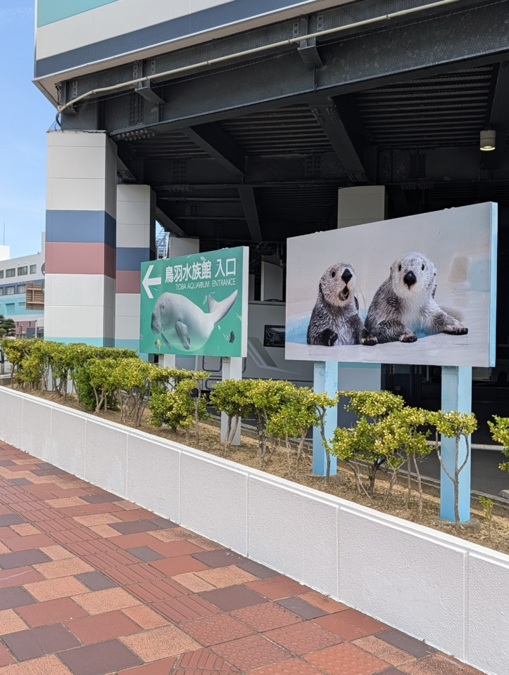 ラッコに会いに鳥羽水族館へ行ってきました！